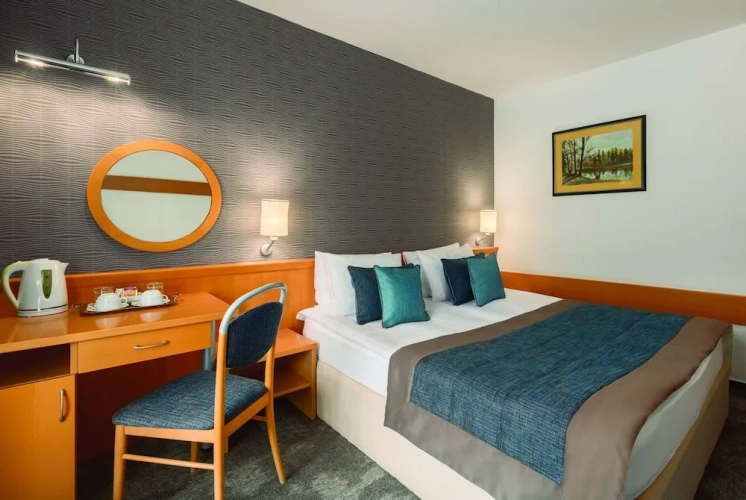 Superior Twin room with balcony and with view