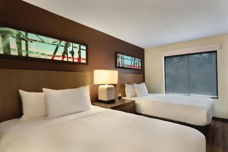 1 Bedroom Quadruple Suite
