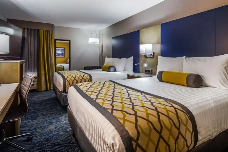 Single Suite
