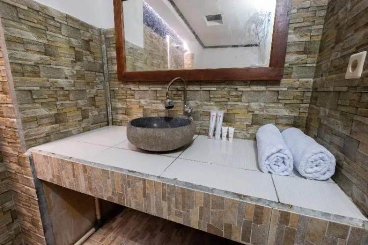 Standard Suite