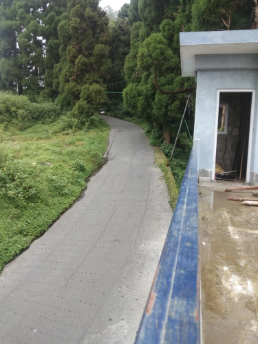 Cypress Homestay