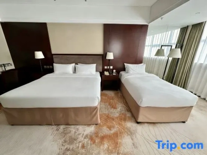 Twin Family Suite