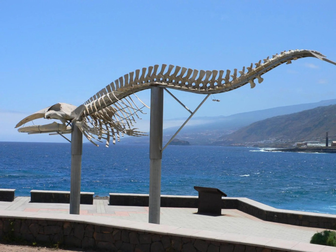 Casa"La Gomera"