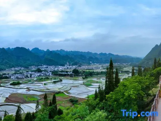 Wanfenglin Xiguan Camp