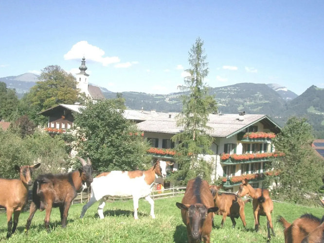 Haflingerhof hotel