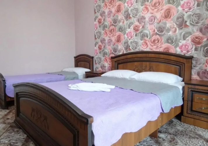 Arins Park Guest House