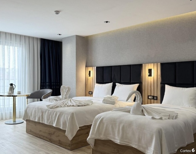Deluxe Twin room with city view