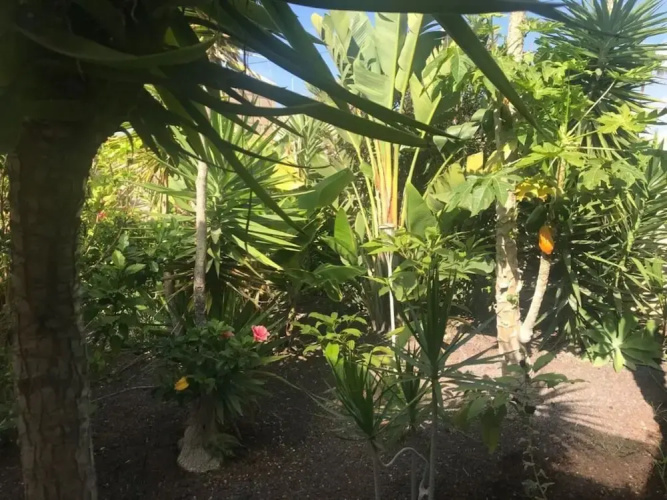 Lovely Apartment in Arona