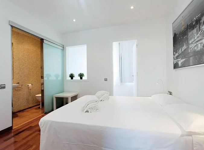 1 Bedroom Apartment