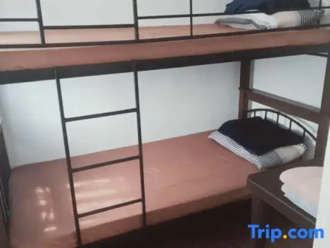 Queen Abby's Staycation