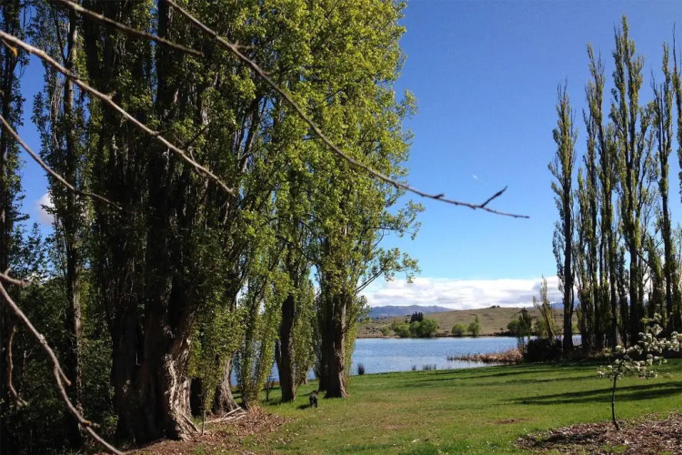 Lye Bow Lake House
