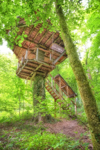 L'Arbre à Cabane