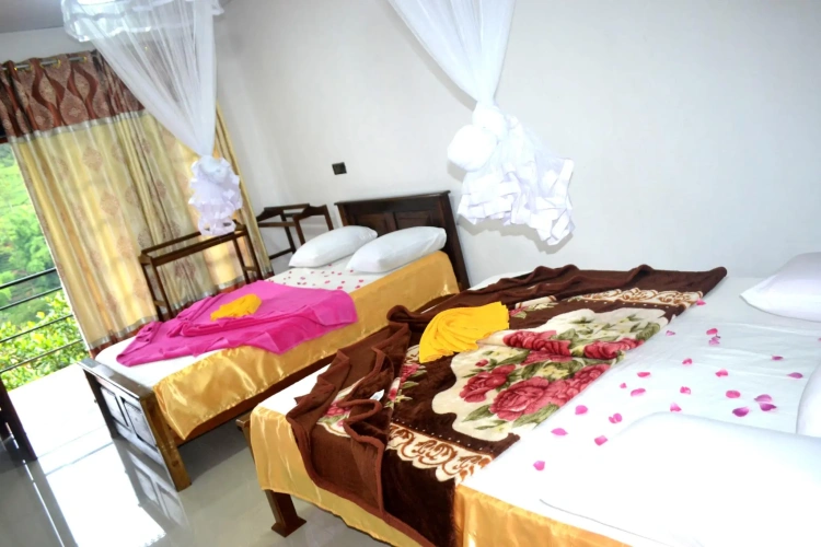 Premium Twin room