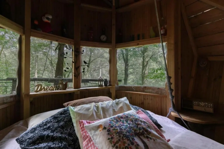 Standard Double room with garden view