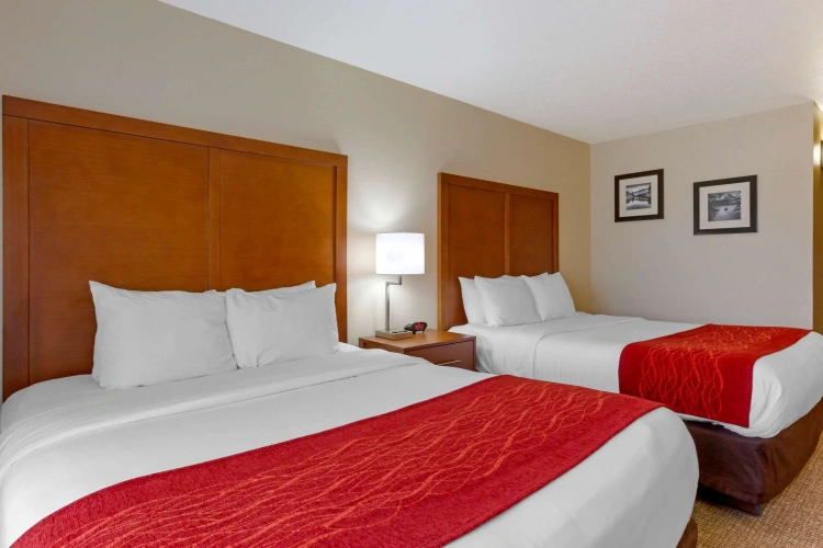 Standard Quadruple room