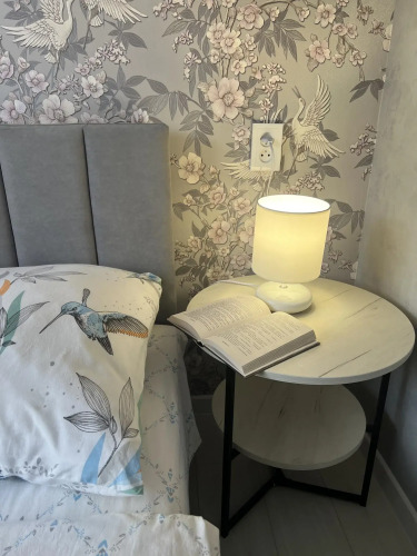 Фотография номера квартиры Апартаменты на улице Бабушкина 149