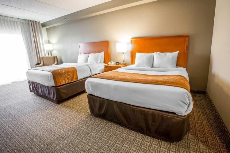 Quadruple Suite