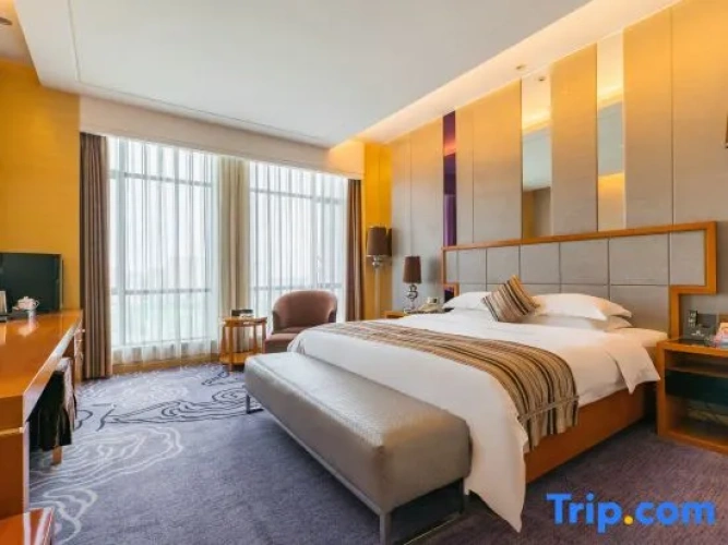 Executive Single room