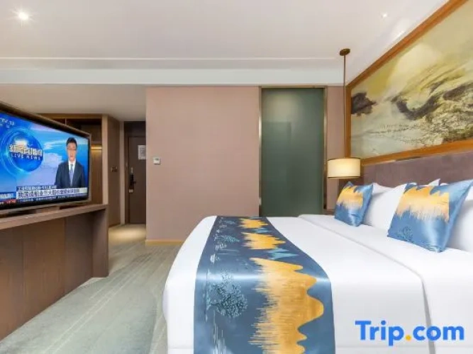 Deluxe Single Suite