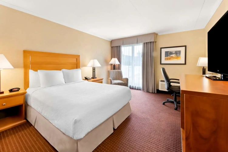 Standard Double Basement room