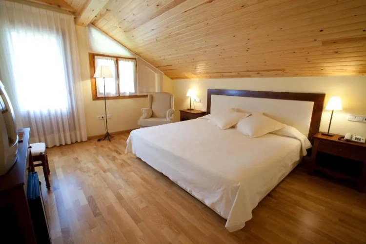 Superior Double room with balcony and with garden view