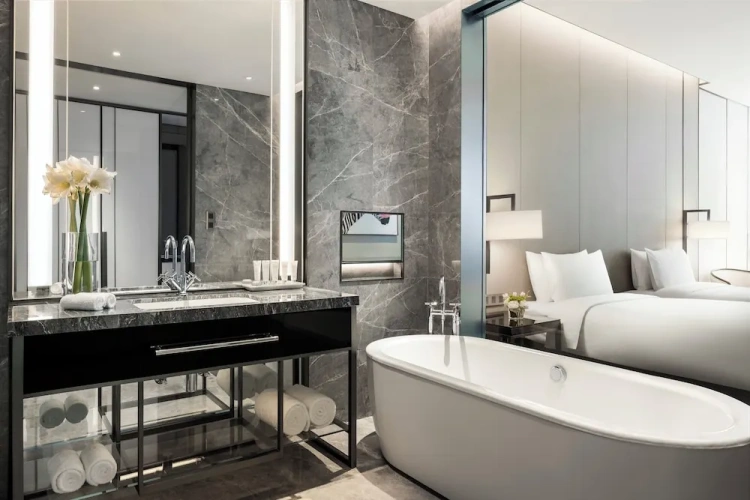Deluxe Twin room with city view