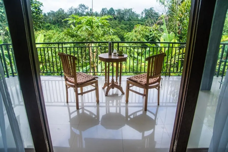 Deluxe Double room with balcony and with view