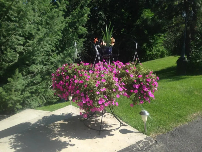Eagle's Nest B & B