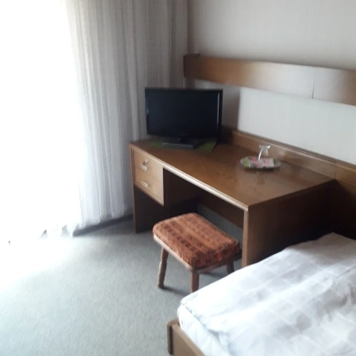 Economy Single room with mountain view