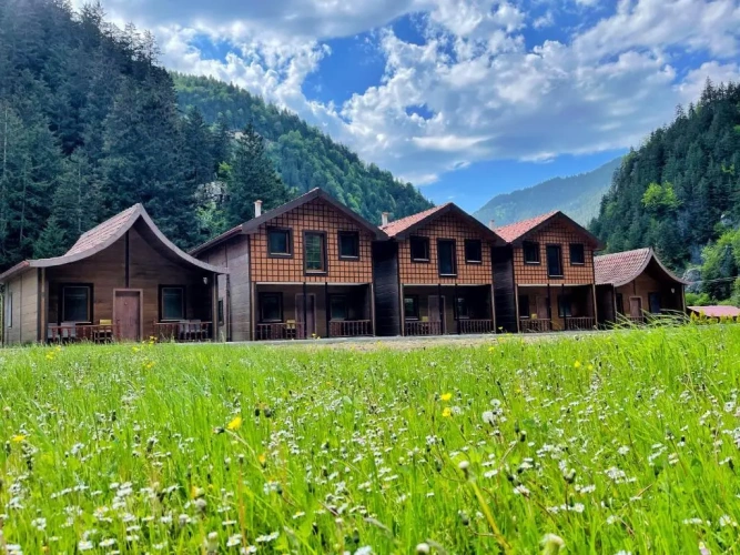 Duplex Villa