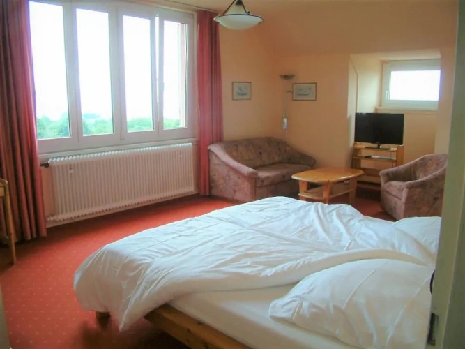 Standard Double room with lake view