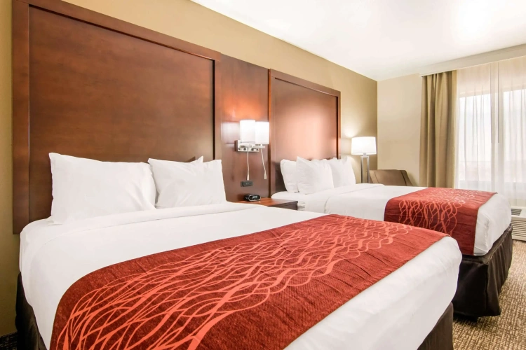 Standard Quadruple room