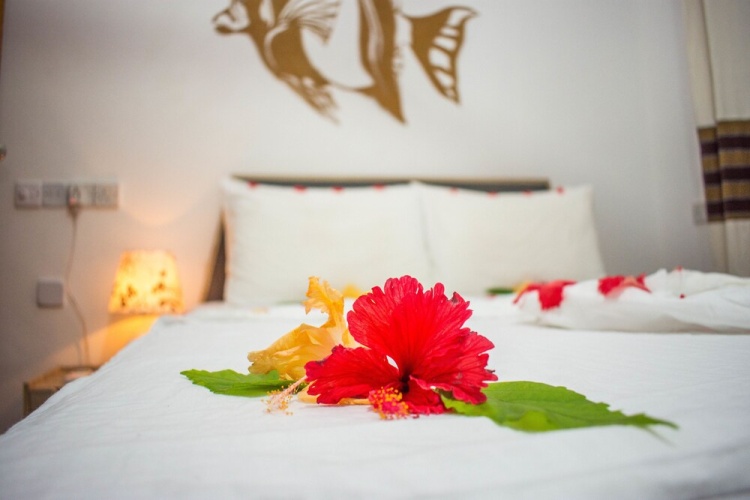 Guest rooms