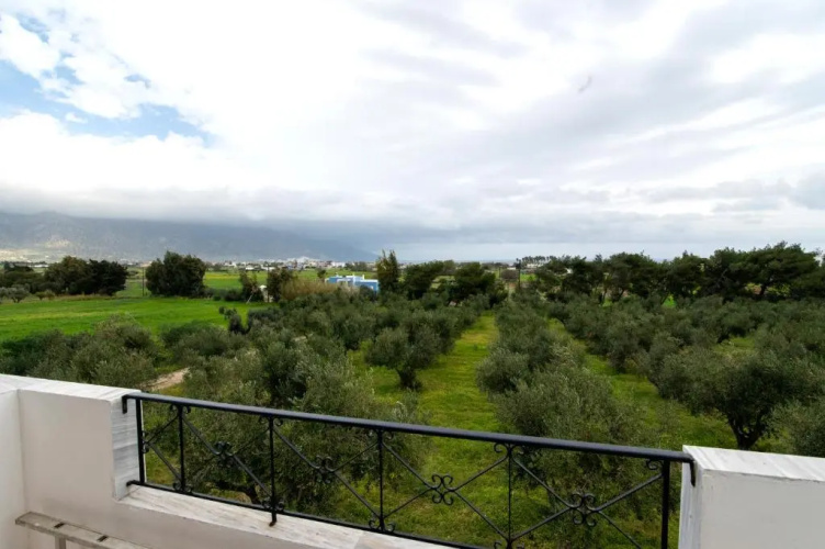 Uliveto 3bd Rustic House