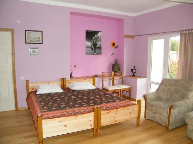 Standard Double room with balcony and with view