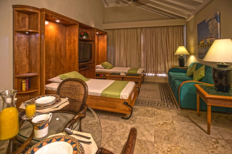 1 Bedroom Suite