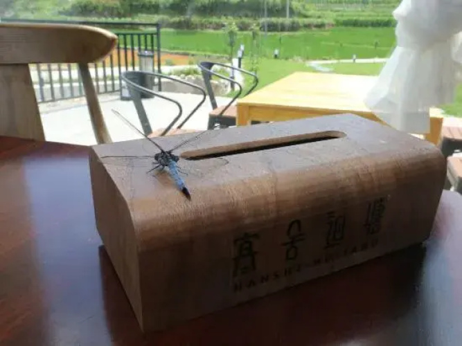 Hanshe Huitang Hotel