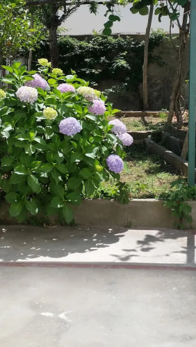 Capri MyHouse 2