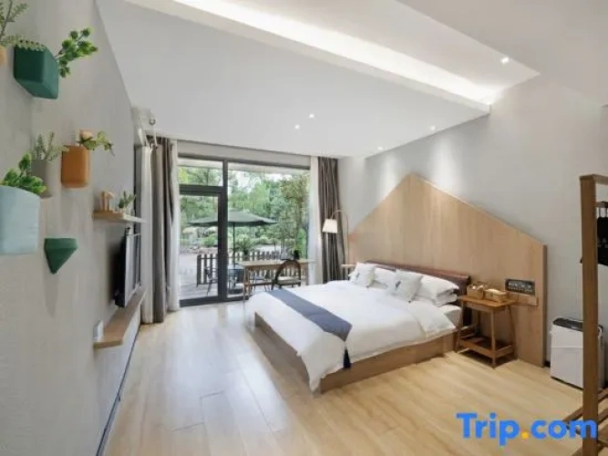 Standard Double room with courtyard view