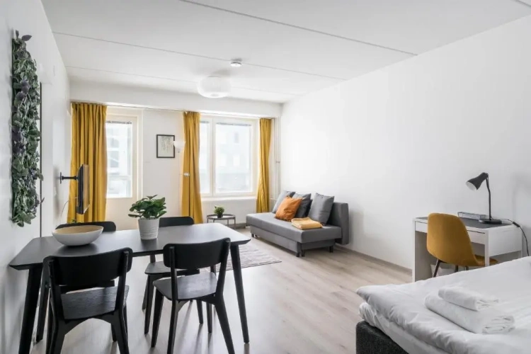 1 Bedroom Apartment
