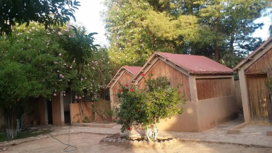Bungalow with garden view
