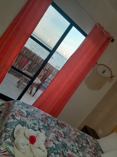 Casa Delfines