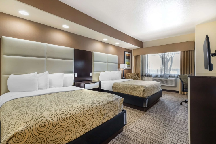Quadruple Suite