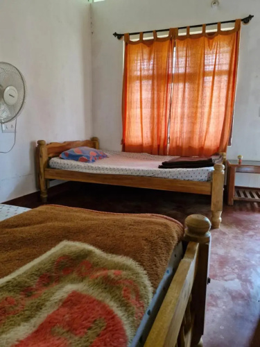Athena Homestay