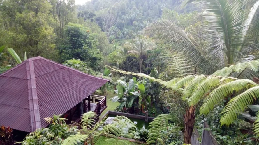 Bungalow