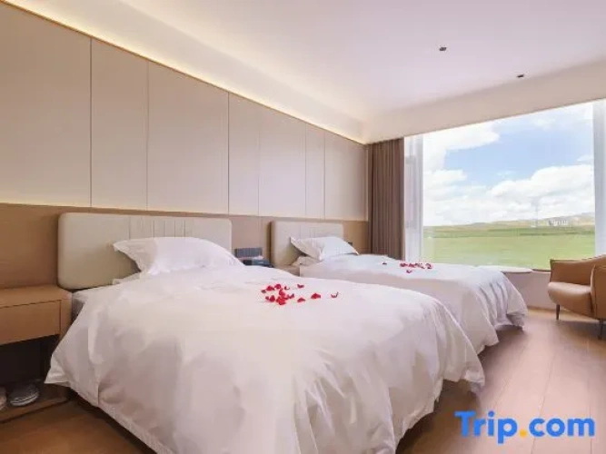 Luxury Twin room with land view