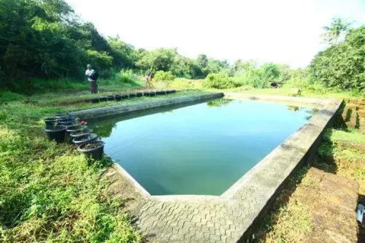 Kayambu Garden Stay