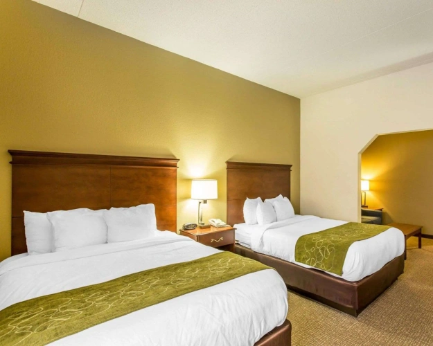 Quadruple Suite