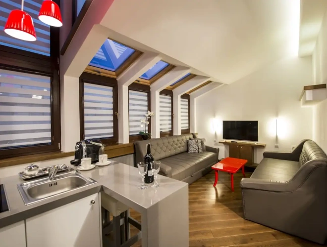 Luxury Apartment