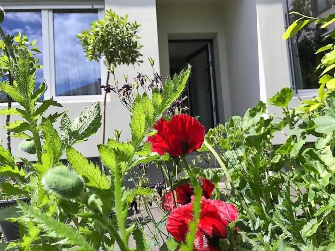 Apartment with garden view